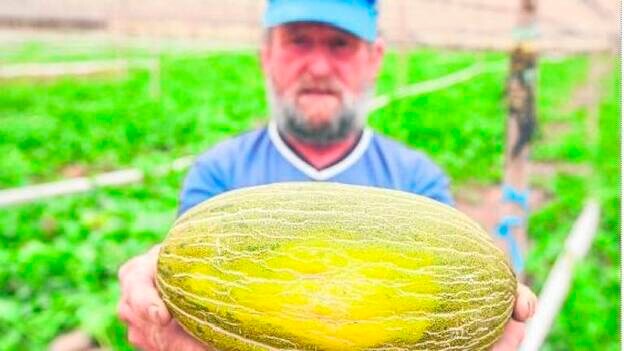 Melones de Villaconejos crían con pedigrí en El Burrero