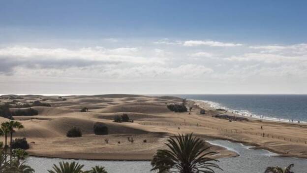 Maspalomas ha perdido un 24 % de sus dunas en 50 años y Corralejo, un 13 %