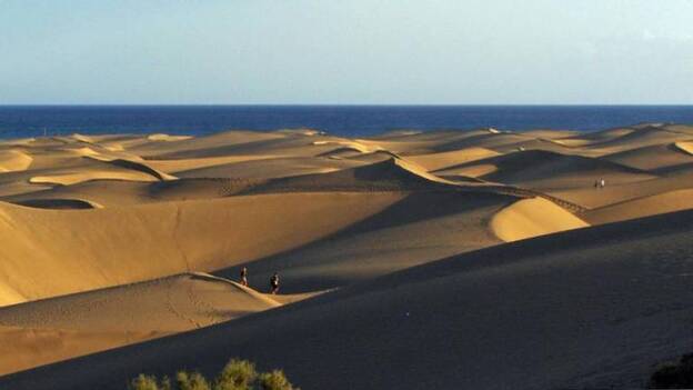 El deterioro de las dunas amenaza con acelerarse si no se interviene