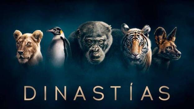 Que Peli Hay Hoy En La Tele