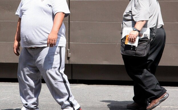La obesidad es uno de los principales problemas a los que se enfrentan los médicos internistas. /R. C.