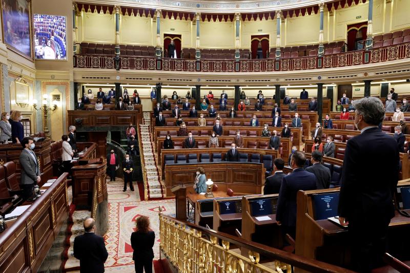 Diputados aguardan un minuto de silencio en recuerdo a las víctimas del 11M en el Congreso de los Diputados en Madrid