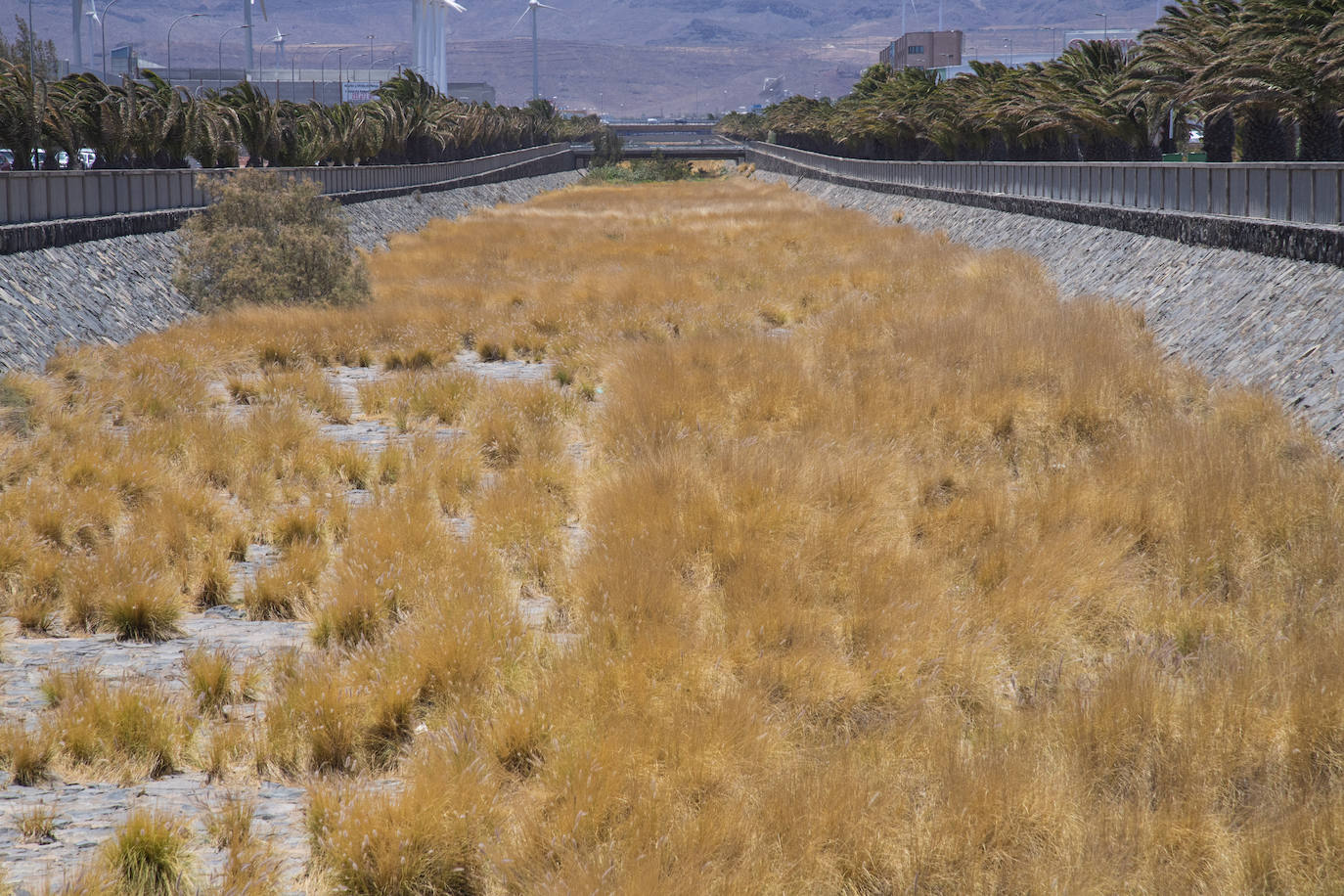 Esta es la estampa que presenta al Canal de Arinaga. Es como un río teñido de rubio. / ARCADIO SUÁREZ