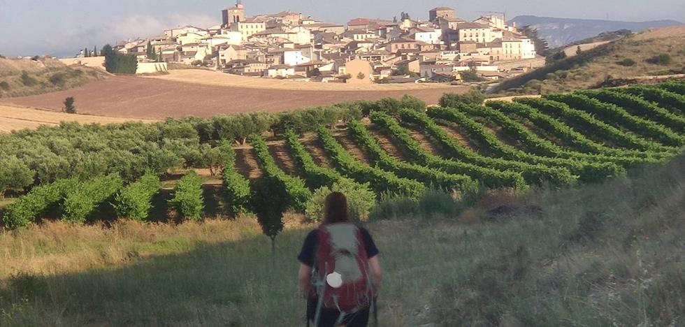 Suben los grados en la tierra del vino - Vimarsana News