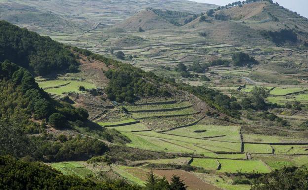 Transición Ecológica extiende el 'Proyecto ojeadores' a Fuerteventura, Lanzarote, La Palma y La Gomera