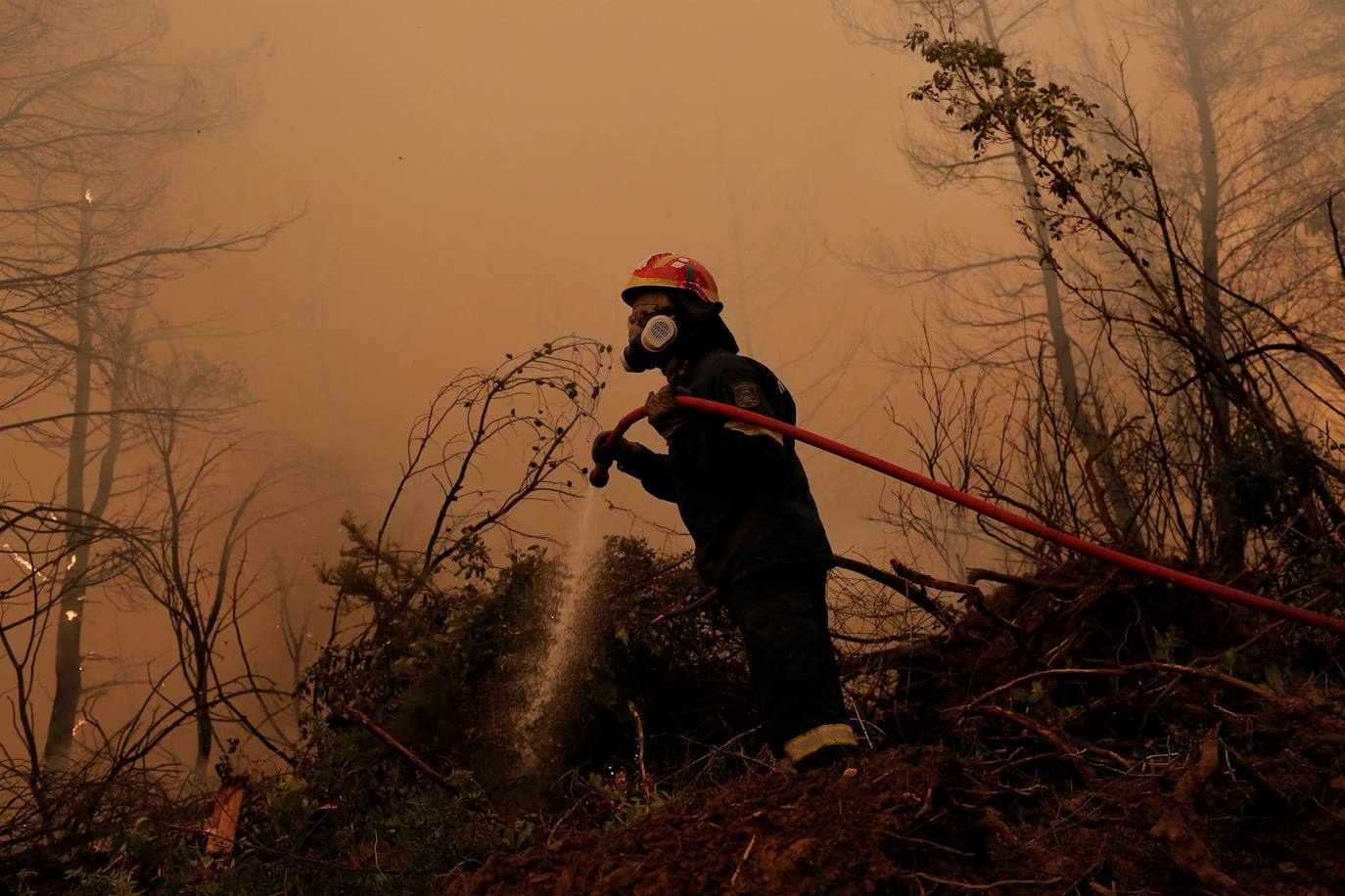 Grecia investiga si una organización criminal está detrás de los incendios