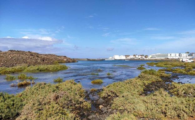 Transición Ecológica culmina un estudio sobre los saladares de Canarias