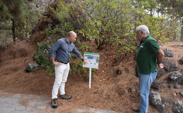 El Jardín Canario permite al visitante aprender sobre la riqueza de la biodiversidad canaria. / C7