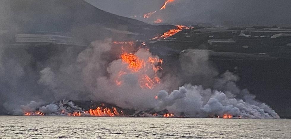Las microalgas volverán con más fuerza a la franja de la costa afectada - Vimarsana News
