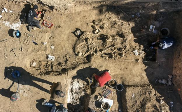 Imagen de la excavación en Belchite (Zaragoza)