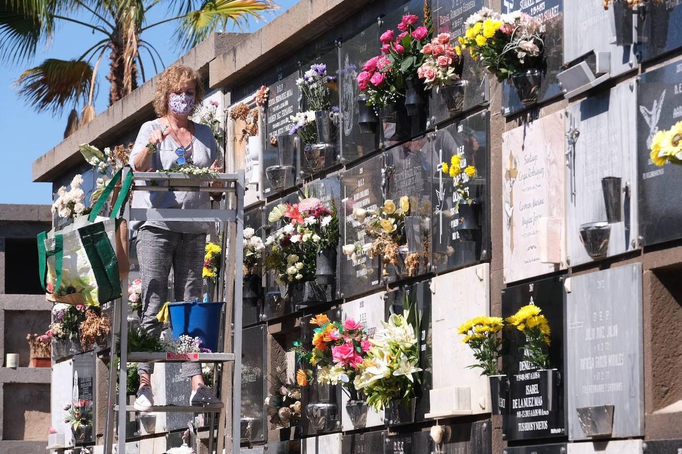 Fotos: Flores para honrar a los difuntos | Canarias7