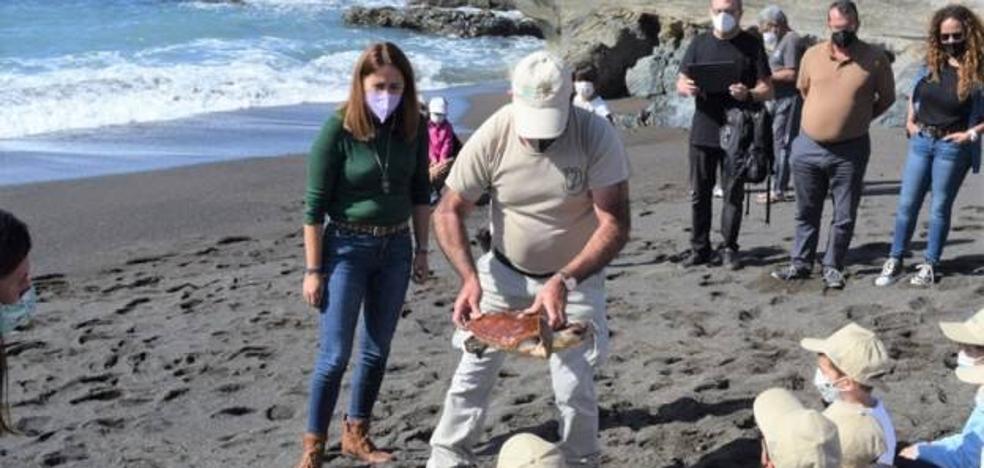 Liberan tres ejemplares de tortuga boba en Ajuy, Fuerteventura