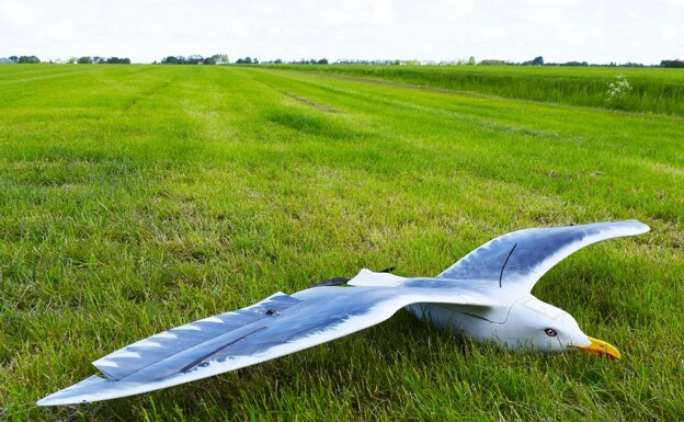 Un dron con forma de pájaro para uso lúdico