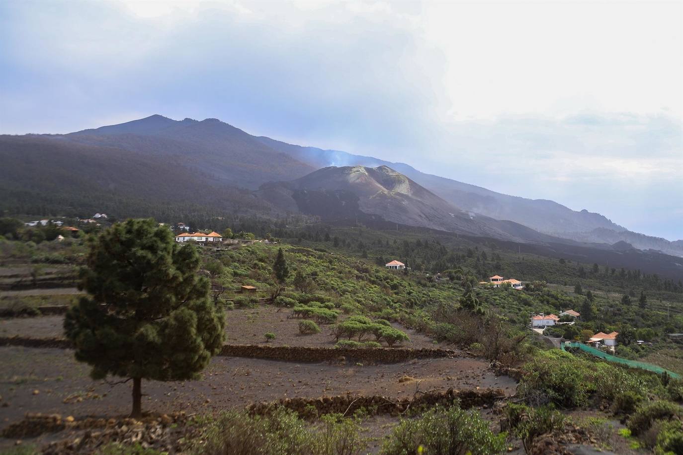Vistas de la colada del volcán de La Palma