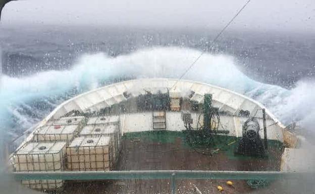 ¿Por qué iba un observador científico en el barco que naufragó en Terranova?