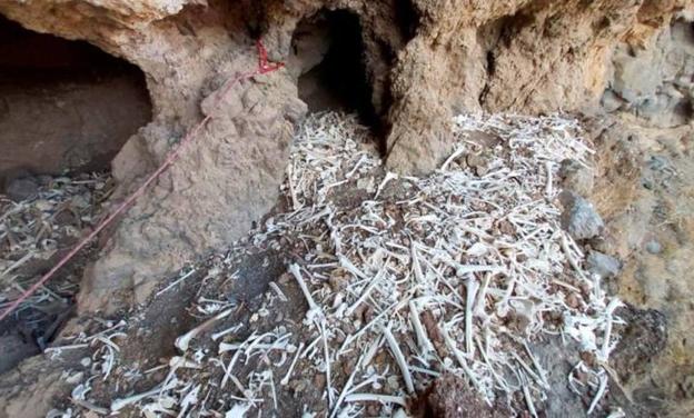 Estudian el uso que los guanches dieron a las cuevas colgadas en Tenerife
