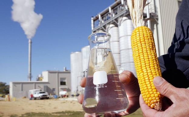 Europa quema 10.000 toneladas de trigo al día en etanol