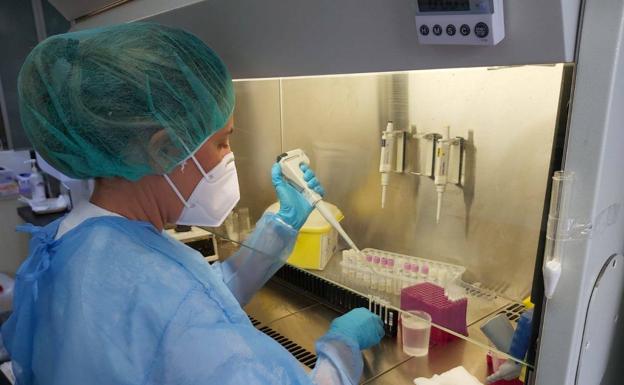 Una saniaria manipula una muestra para una PCR en el Hospital Universitario de Canarias. /c7