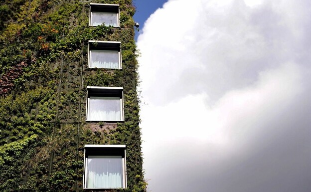 Los jardines verticales del Hotel Athenaeum de Londres. /Efe