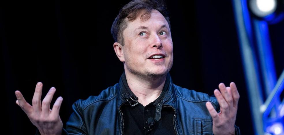 Musk stops the purchase of Twitter by the number of false accounts