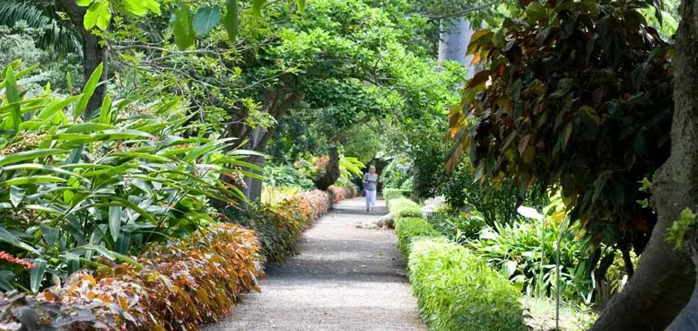 The Botanical Garden of Tenerife will open a visitor center next summer