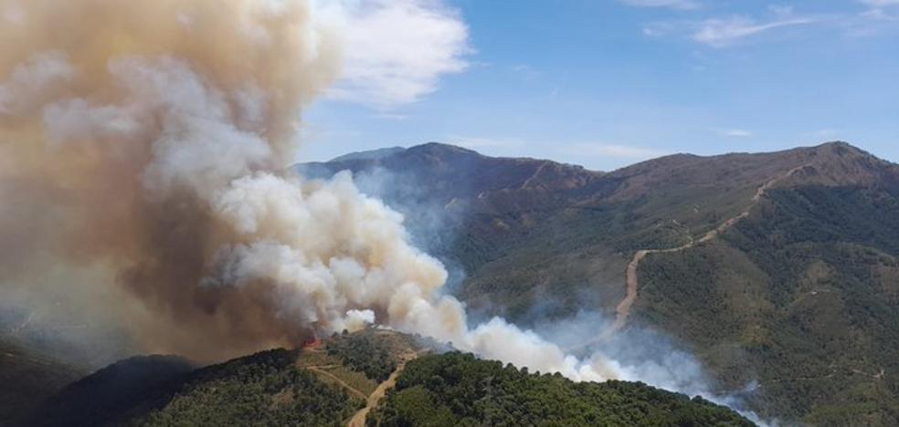 Declared a forest fire in Malaga, near Sierra Bermeja