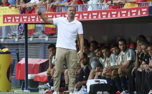 Luis Enrique gives instructions during the Spain-Czech Republic match at La Rosaleda. 