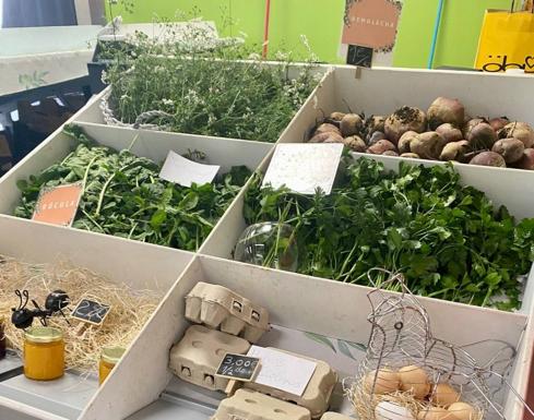 Finca Las Hormiguitas. Mercado de Guía