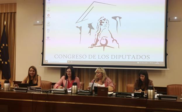 The president of the AEAFA, María Dolores Lozano, second from the right, in Congress. 