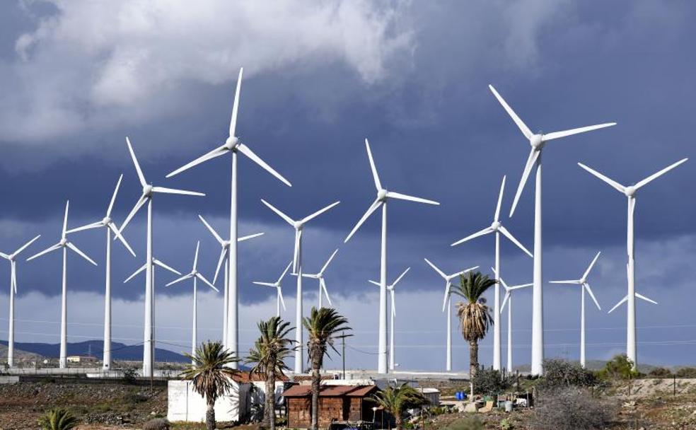 magen de archivo de molinos eólicos generadores de energía renovable instalados en la zona de Aldea Blanca, al sur de Gran Canaria. /Arcadio Suárez