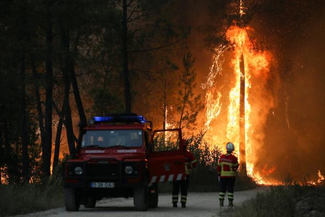 Las llamas han devorado más de 6.000 hectáreas