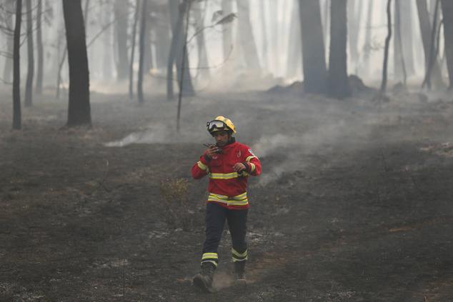 Los incendios forestales han puesto en jaque el país