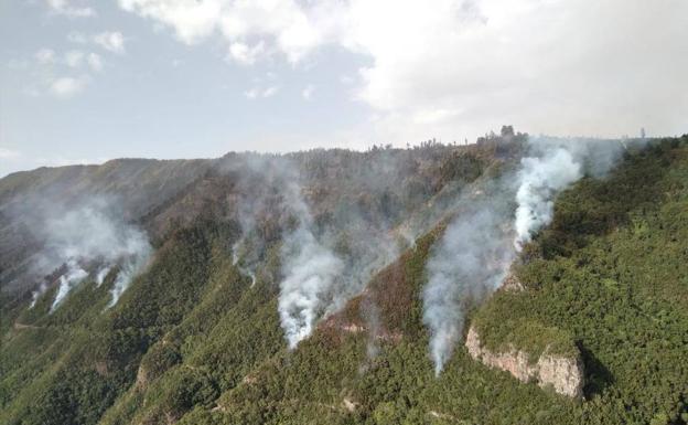 Columnas de humo provocadas por el fuego en el monte de Tenerife. /1-1-2/ twitter
