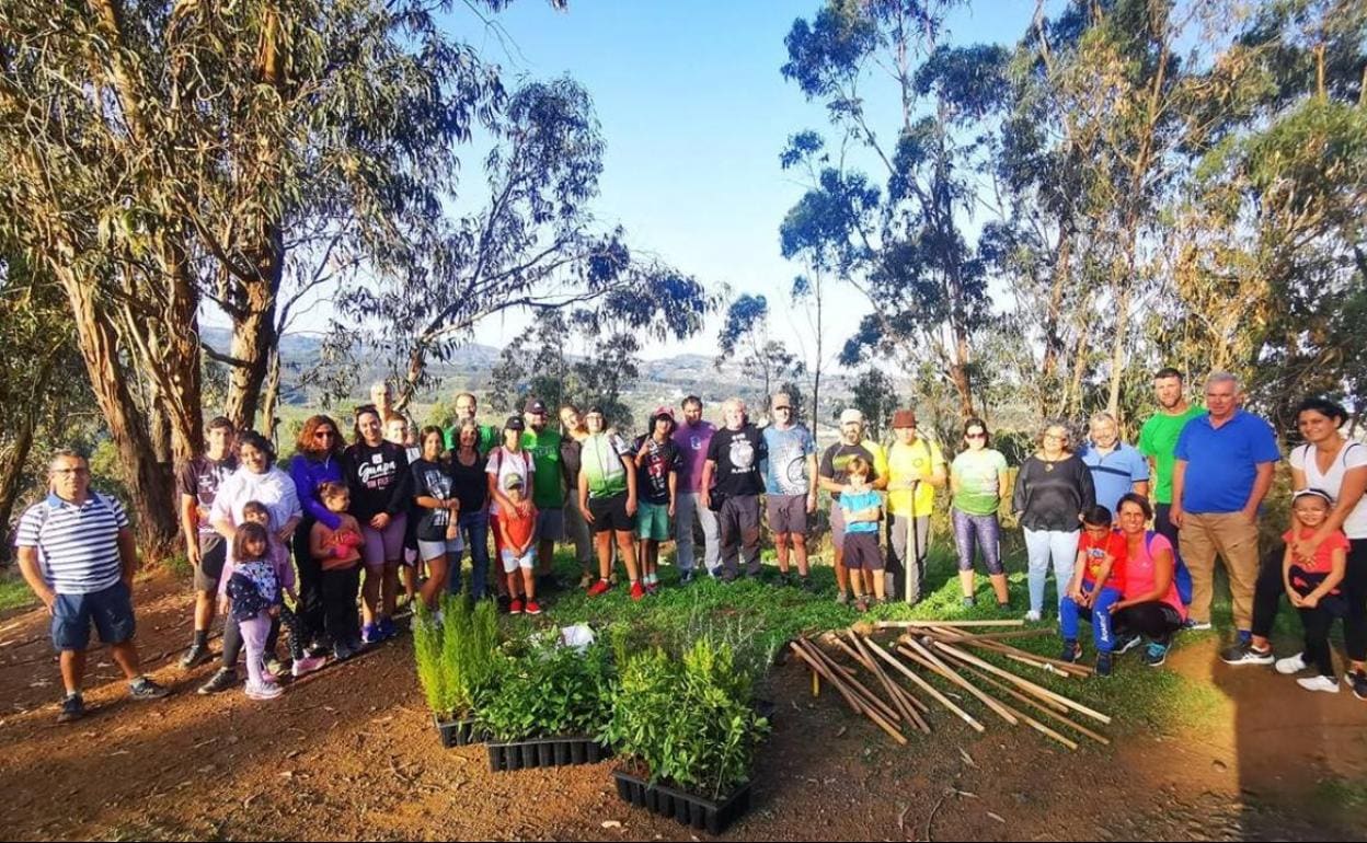 Plantados 300 nuevos árboles en la Montaña de Firgas | Canarias7