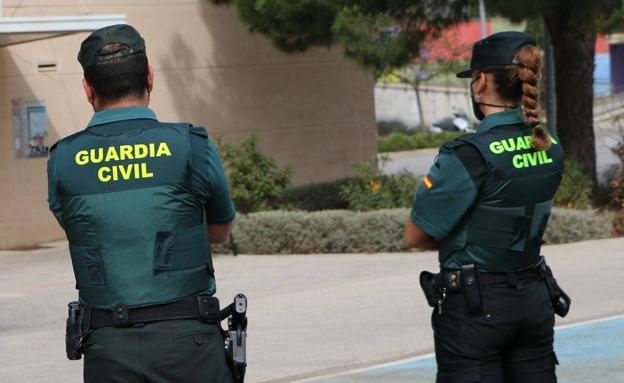 Investigan a siete personas por robar 700 kilos de aguacates en Tenerife