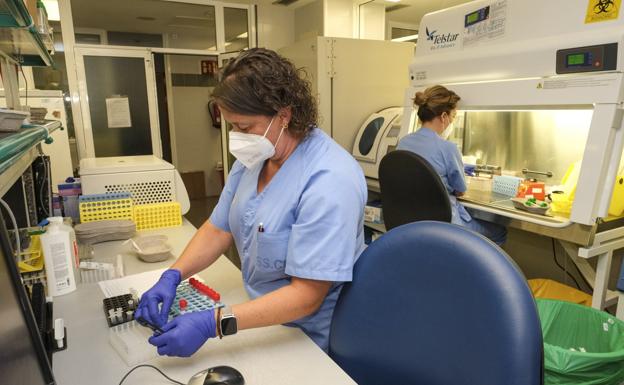 Personal en el laboratorio de Microbiología del Doctor Negrín preparando muestras de Sars-Cov-2. / COBER